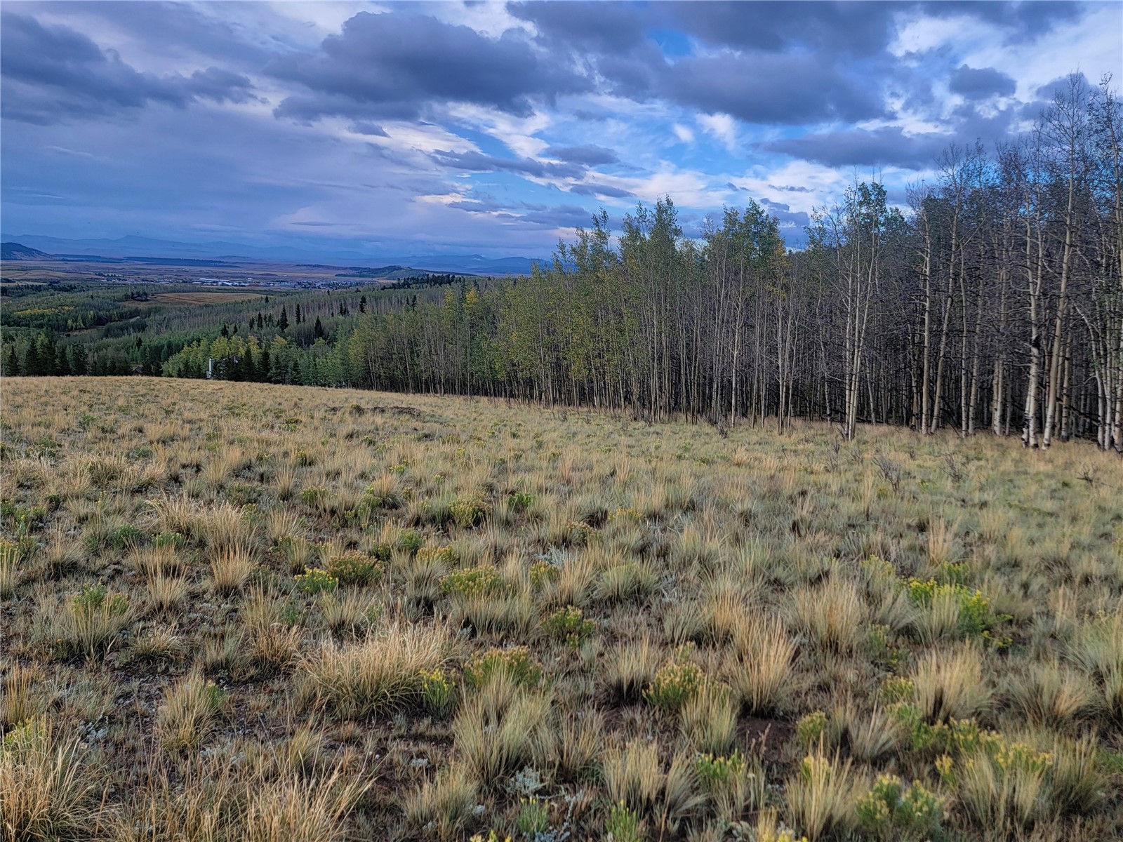 918 Little Baldy Circle Property Photo 40