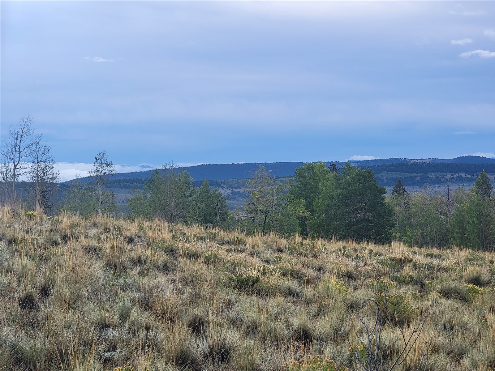 918 Little Baldy Circle Property Photo 41