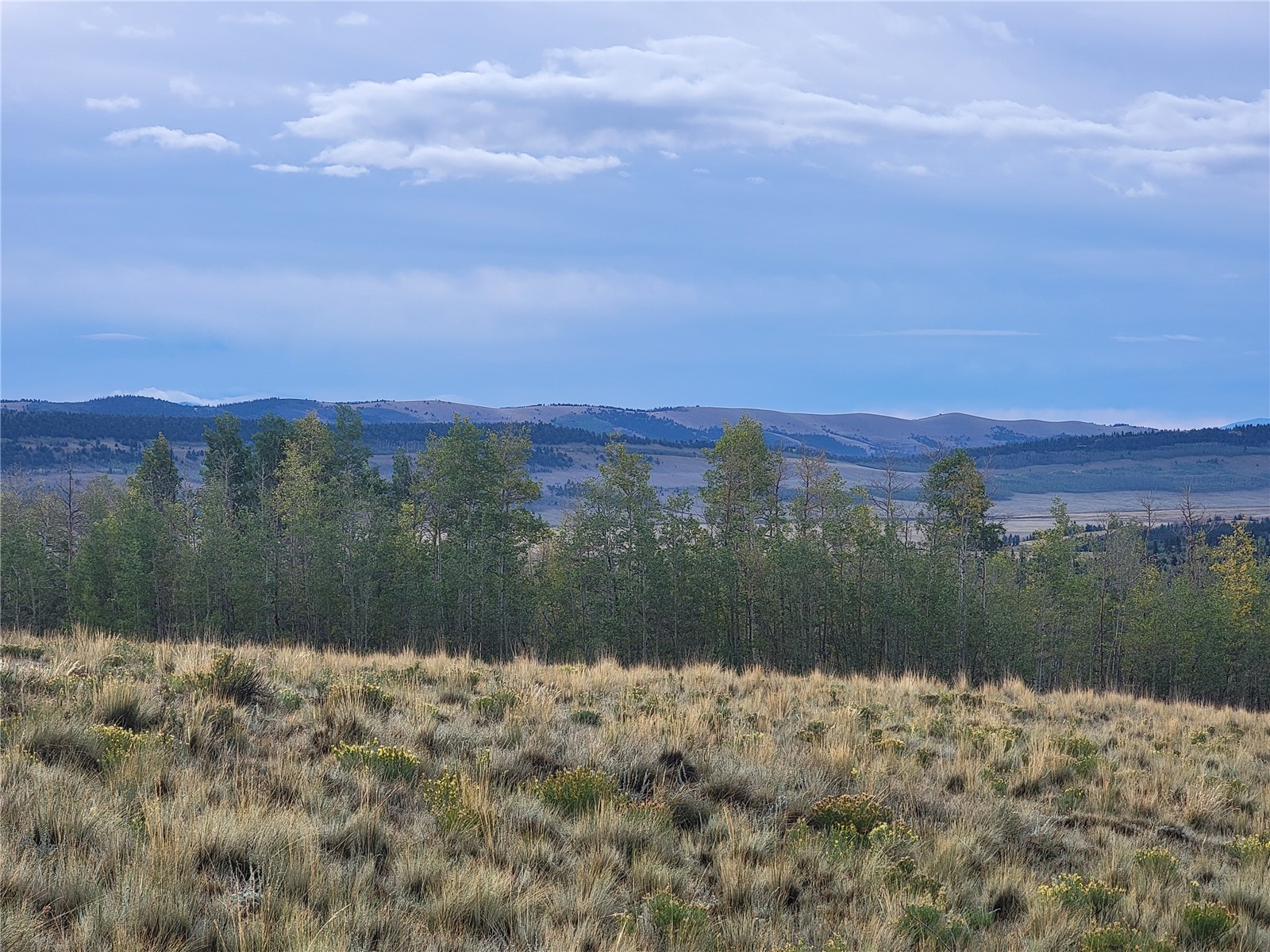 918 Little Baldy Circle Property Photo 44