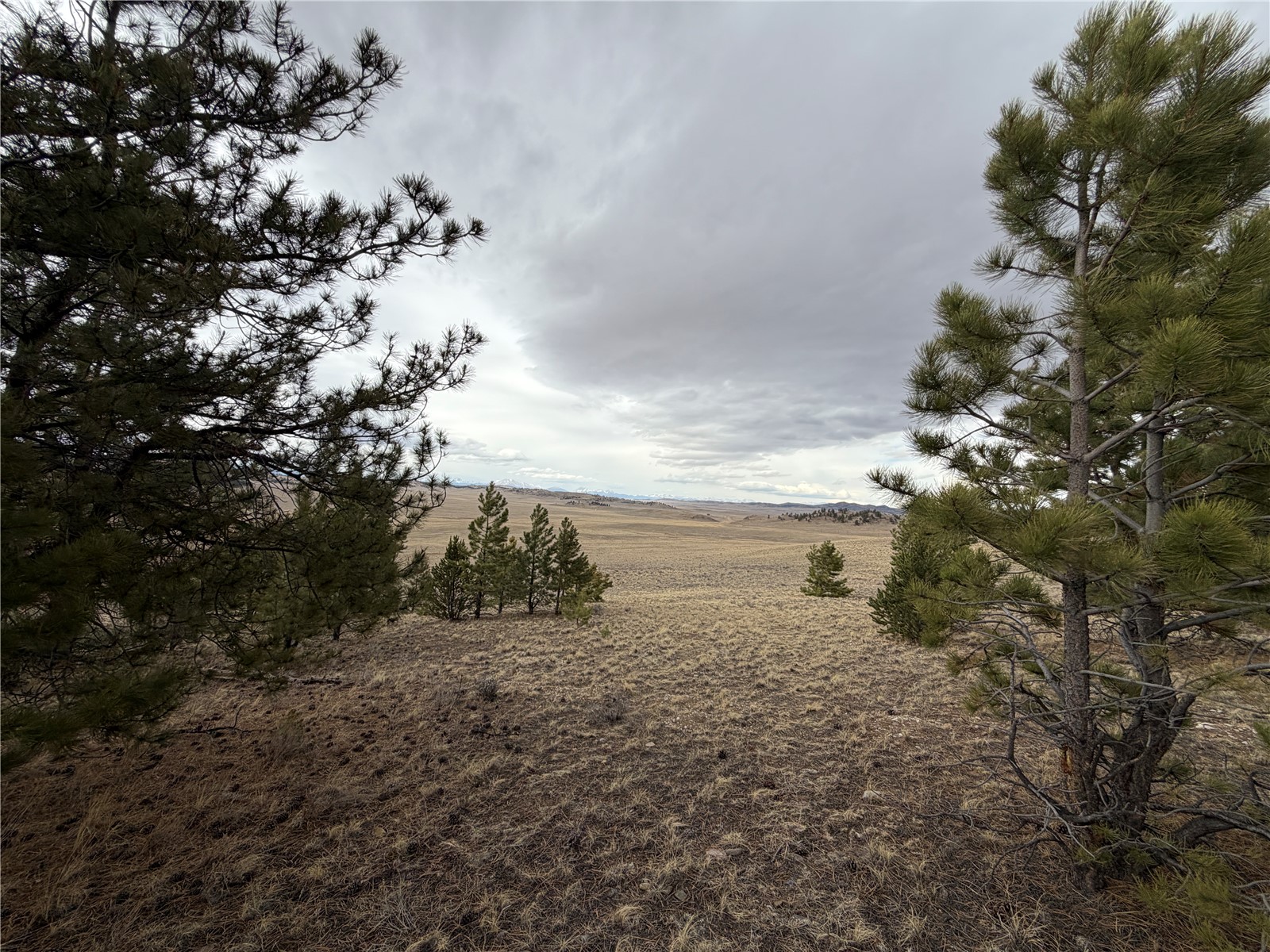 990 Coyotero Trail Property Photo 1