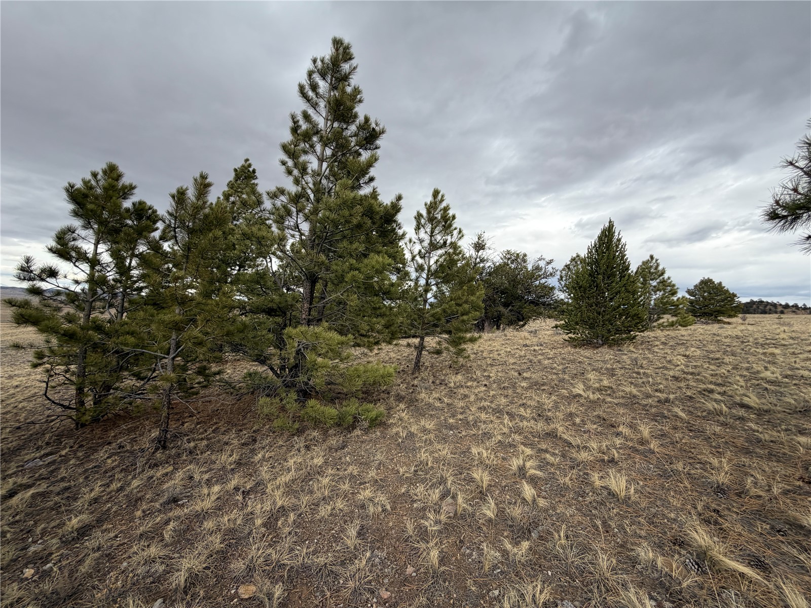 990 Coyotero Trail Property Photo 4