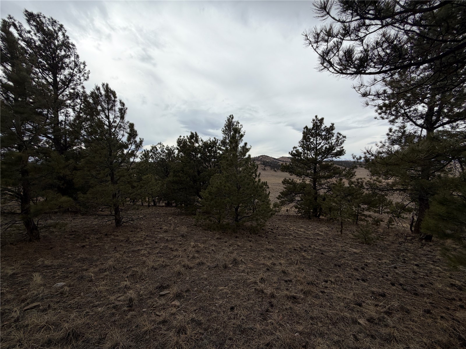 990 Coyotero Trail Property Photo 5