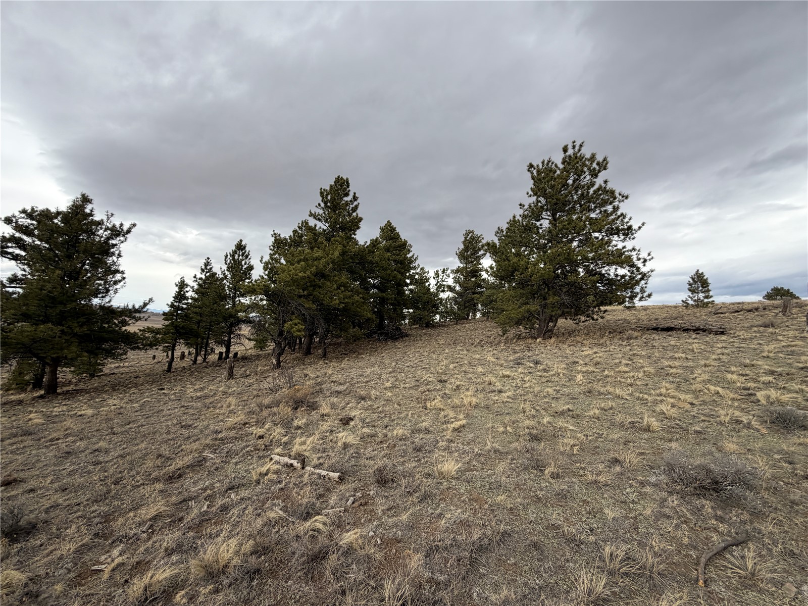 990 Coyotero Trail Property Photo 6