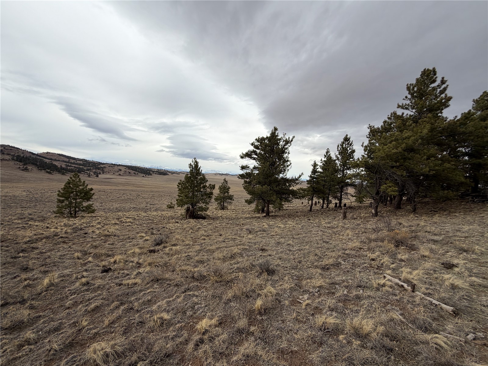 990 Coyotero Trail Property Photo 7
