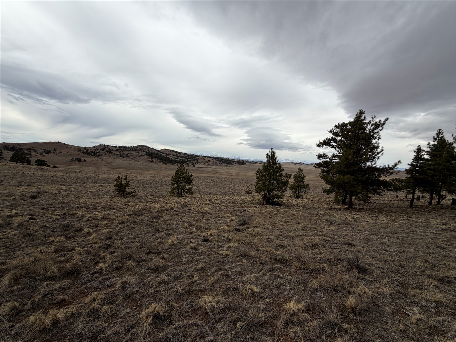 990 Coyotero Trail Property Photo 8
