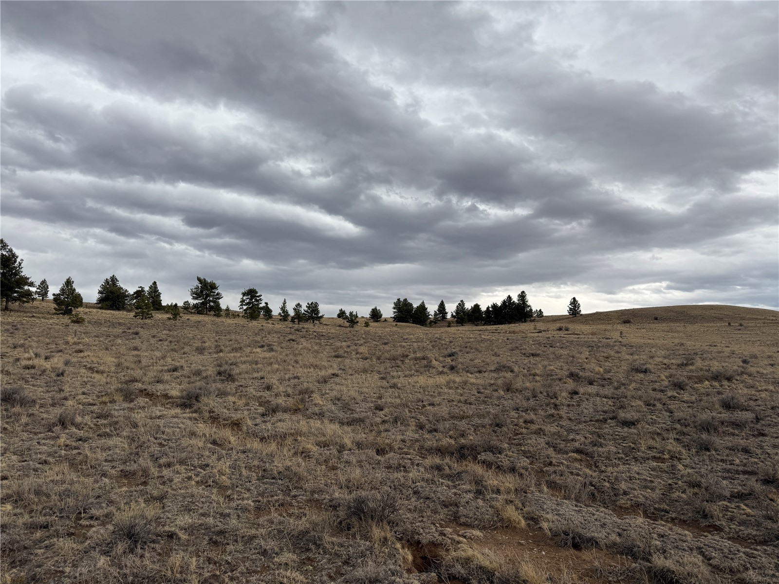 990 Coyotero Trail Property Photo 9