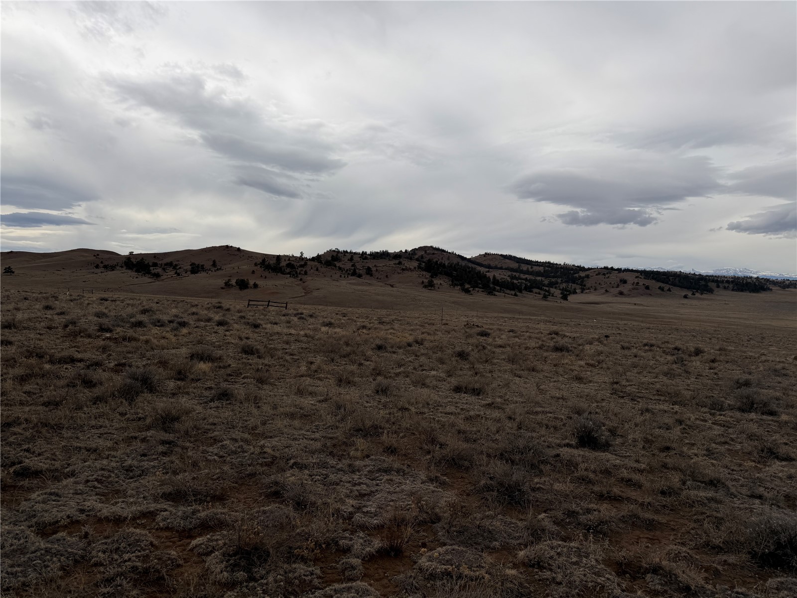 990 Coyotero Trail Property Photo 12