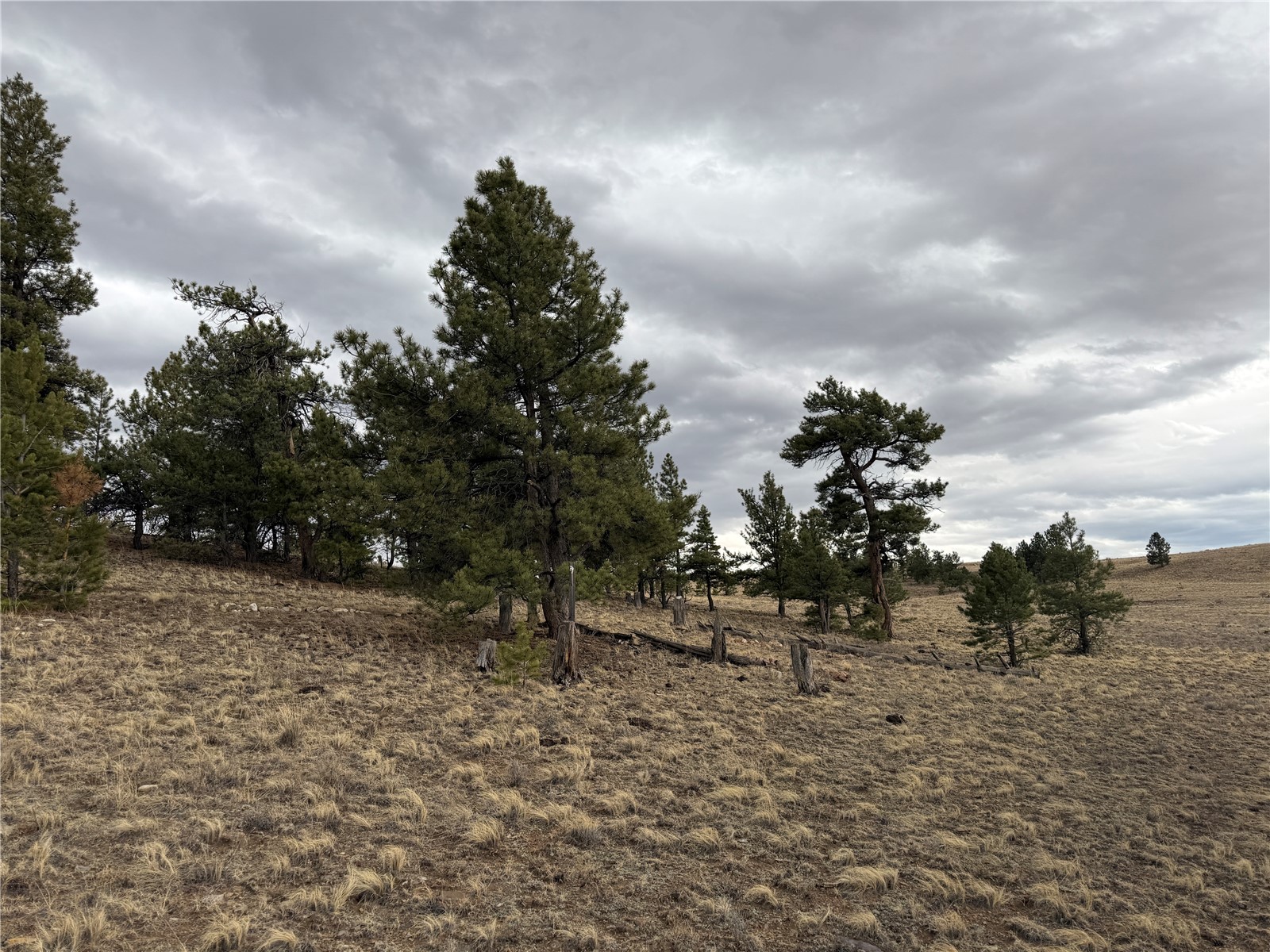 990 Coyotero Trail Property Photo 18