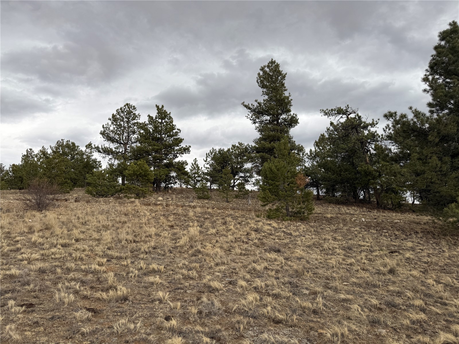 990 Coyotero Trail Property Photo 19