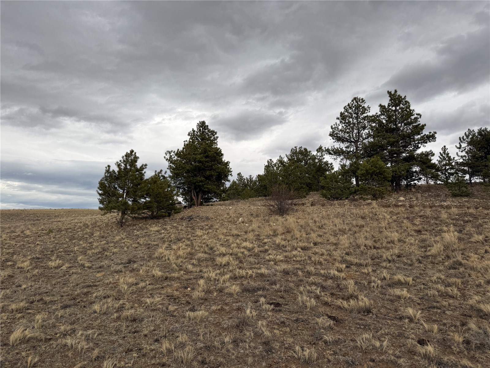 990 Coyotero Trail Property Photo 20