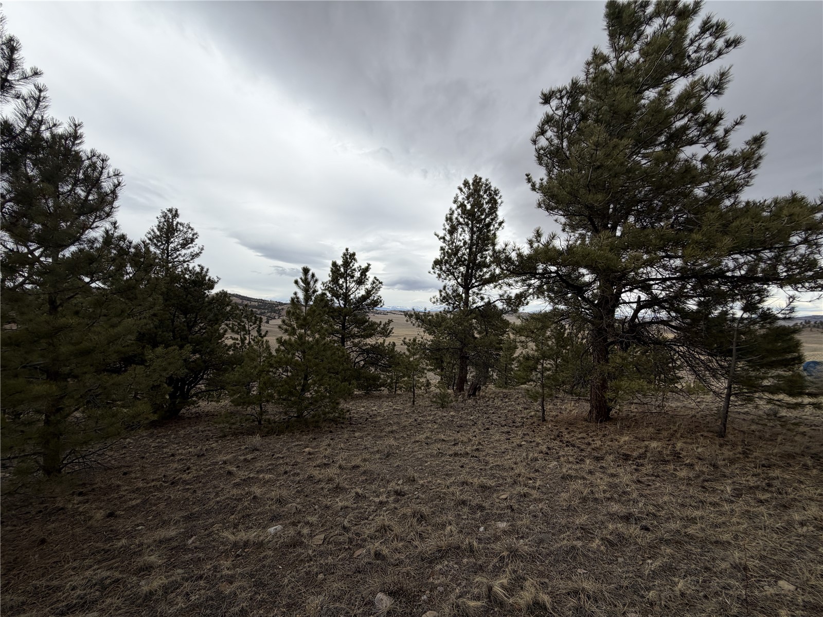 990 Coyotero Trail Property Photo 21