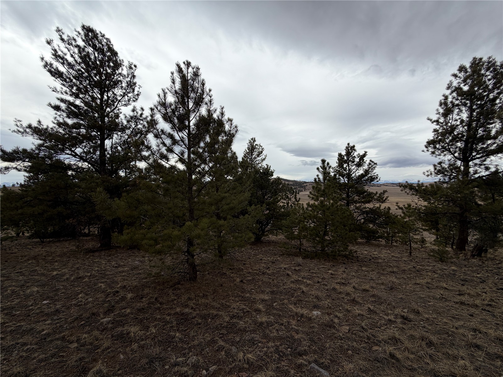 990 Coyotero Trail Property Photo 22