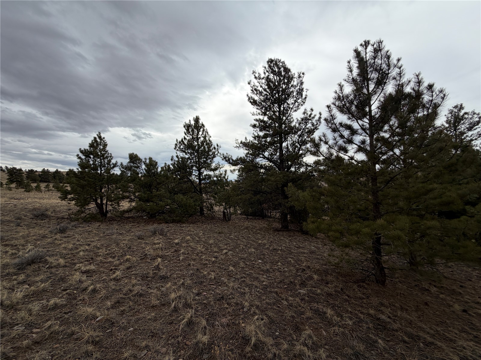 990 Coyotero Trail Property Photo 23