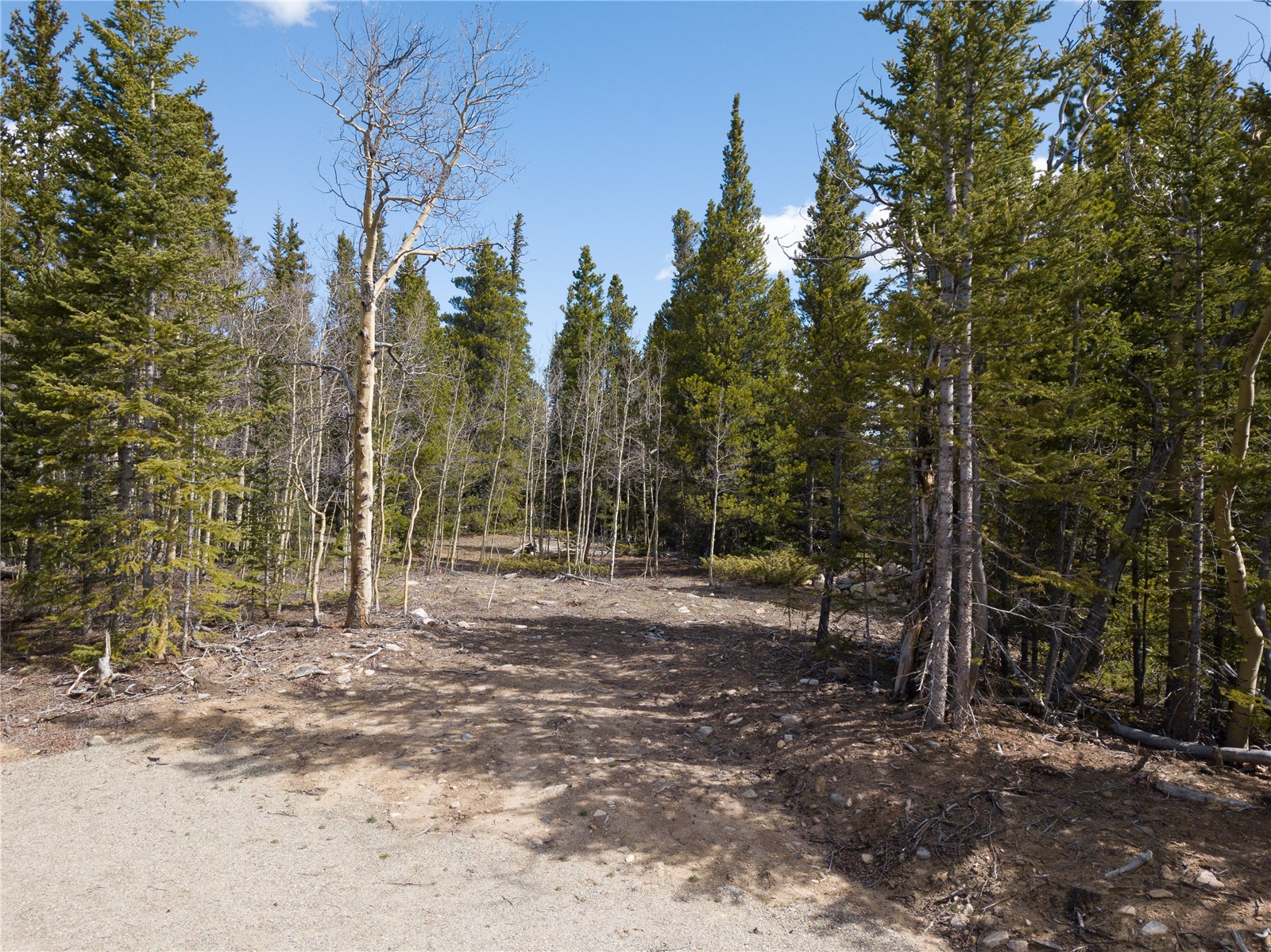 2203 Lakeside Drive Property Photo 16