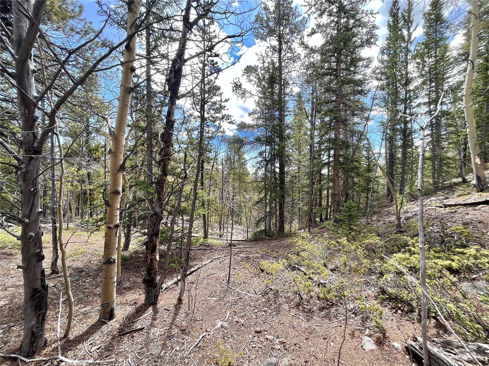 2203 Lakeside Drive Property Photo 35