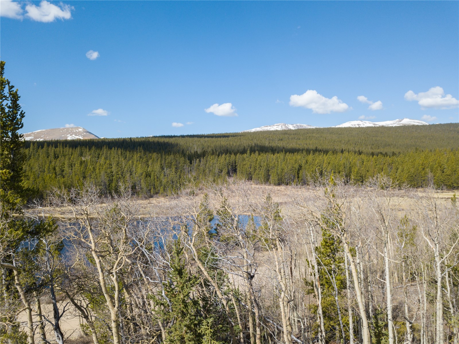 2203 Lakeside Drive Property Photo 44