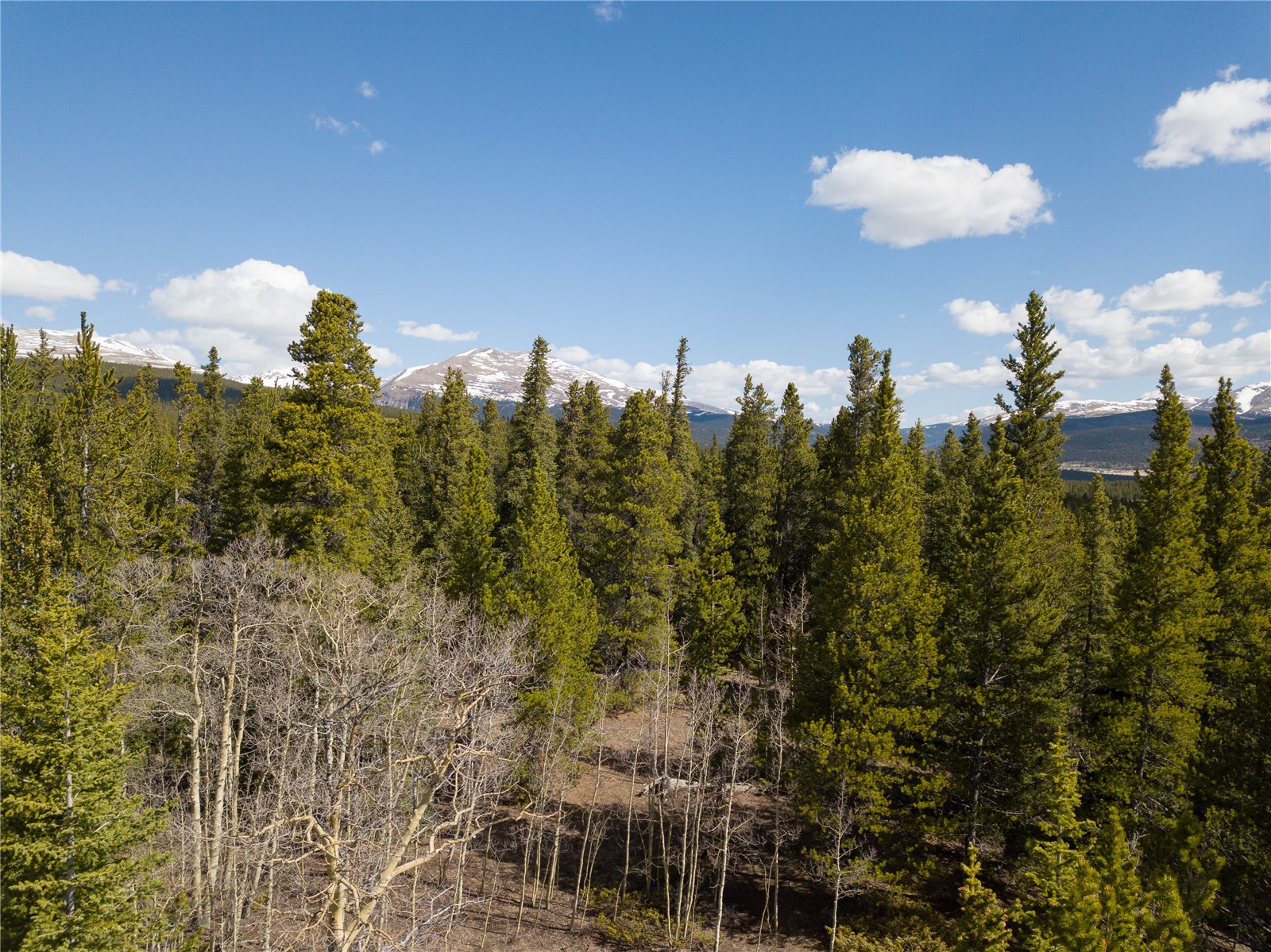 2203 Lakeside Drive Property Photo 46