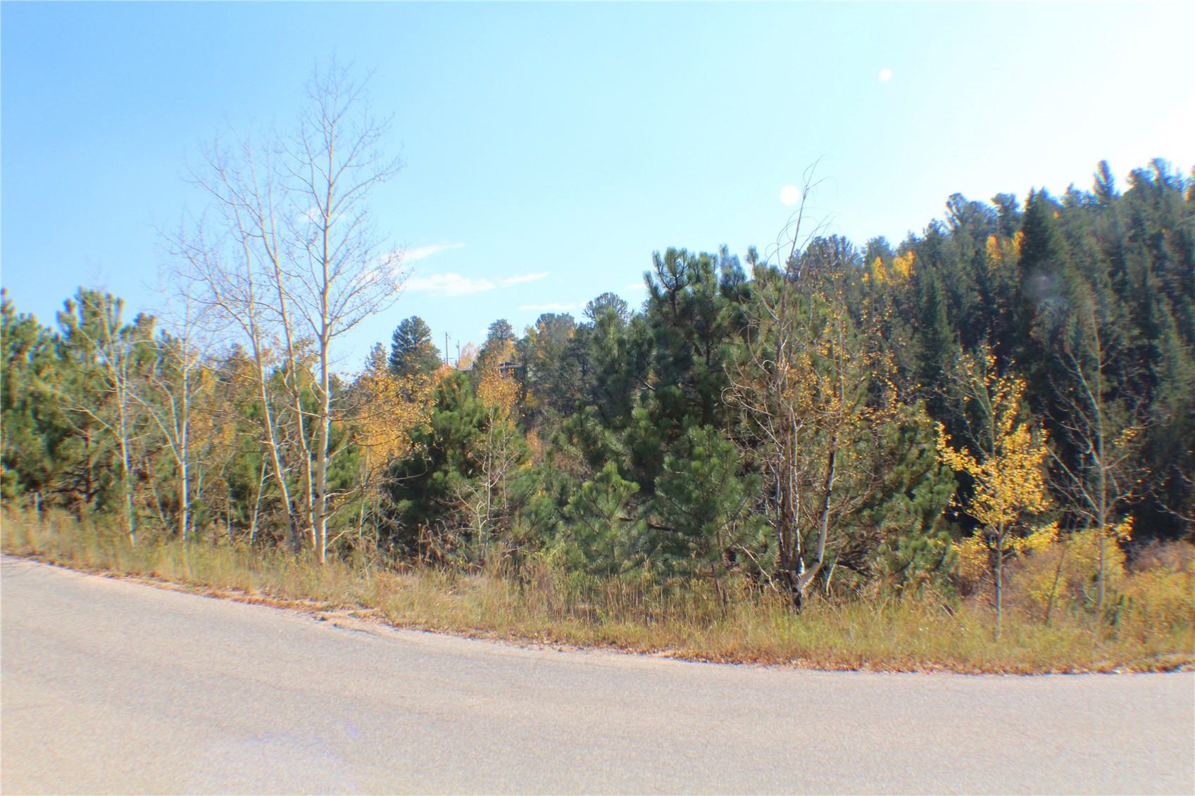 2012 Shelton Drive Property Photo 1