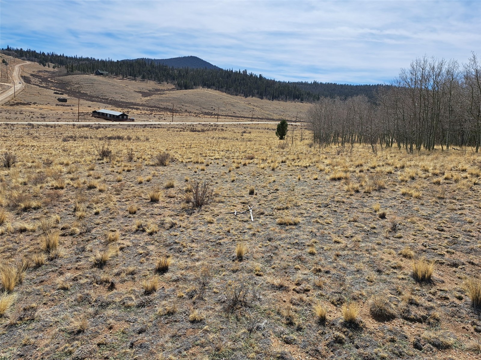 541 War Lane Property Photo 14
