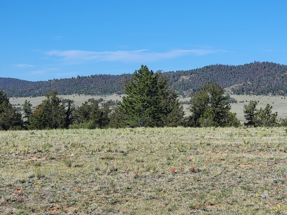 1071 Yellowstone Road Property Photo 10