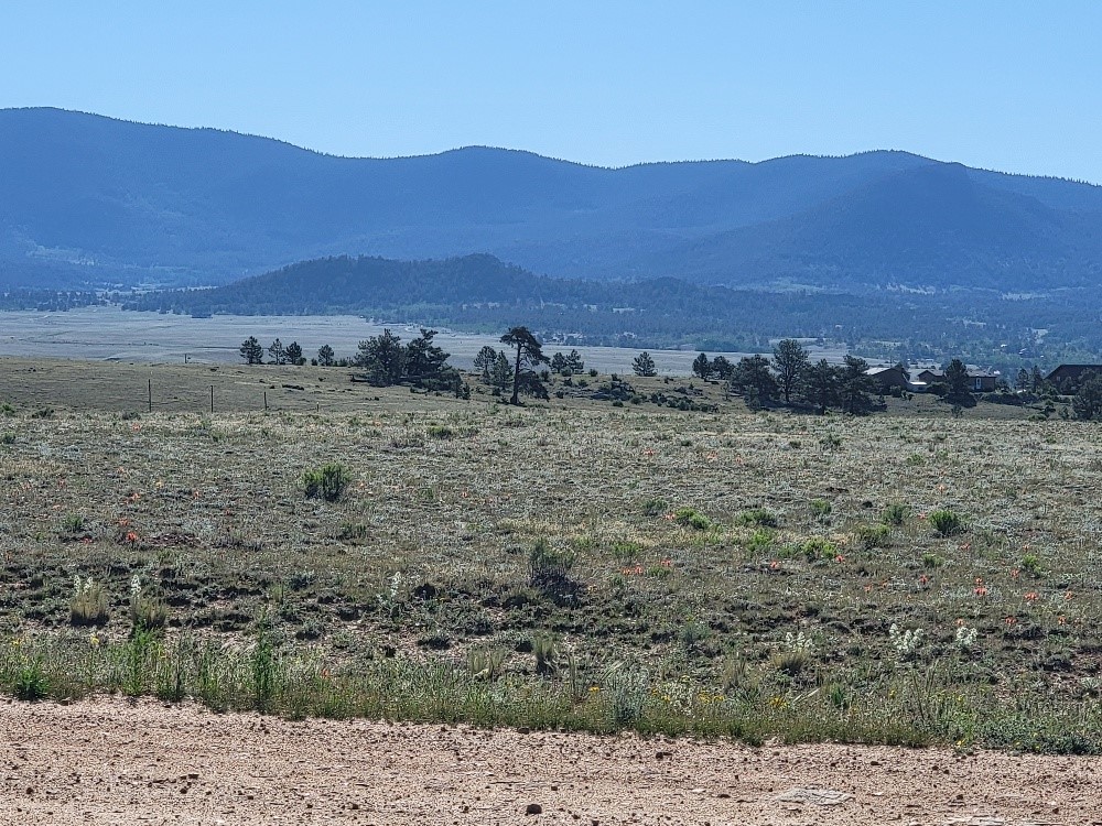 1071 Yellowstone Road Property Photo 11