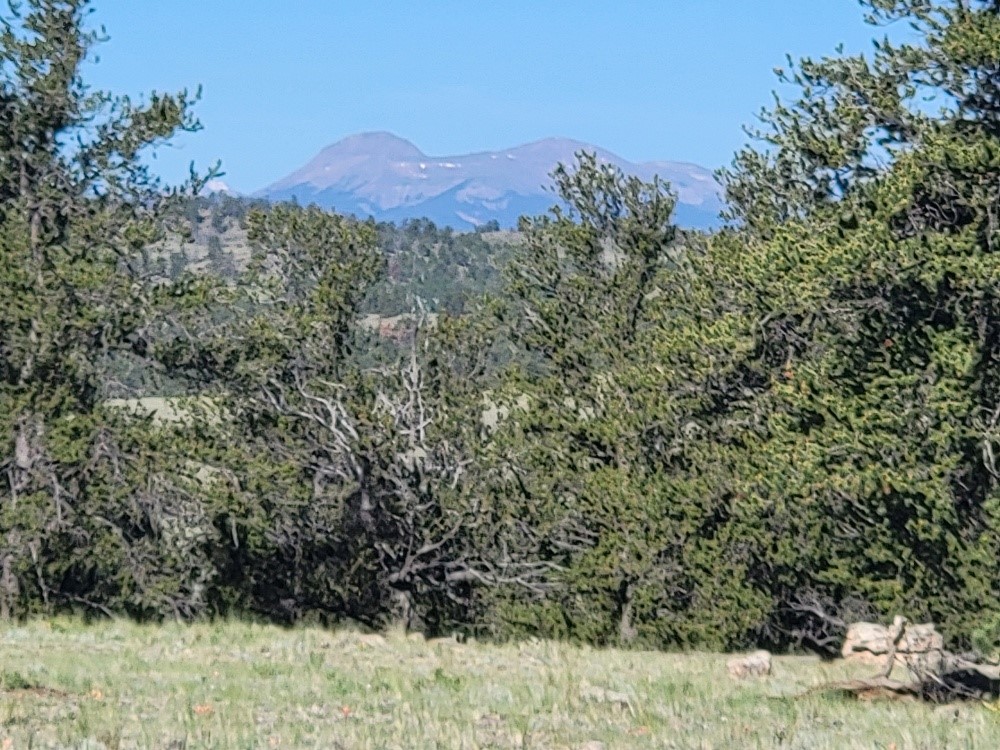 1071 Yellowstone Road Property Photo 21