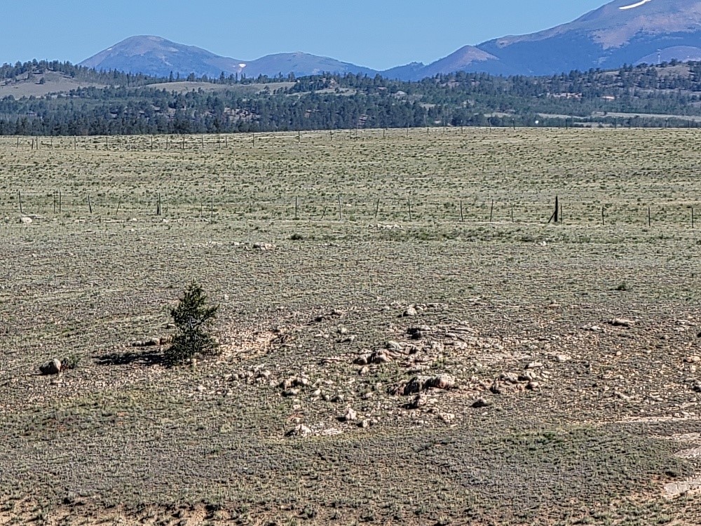 1071 Yellowstone Road Property Photo 27