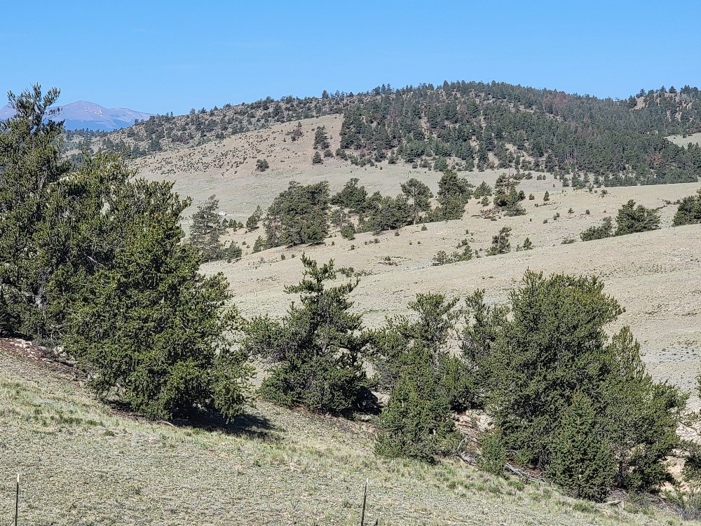 1071 Yellowstone Road Property Photo 30