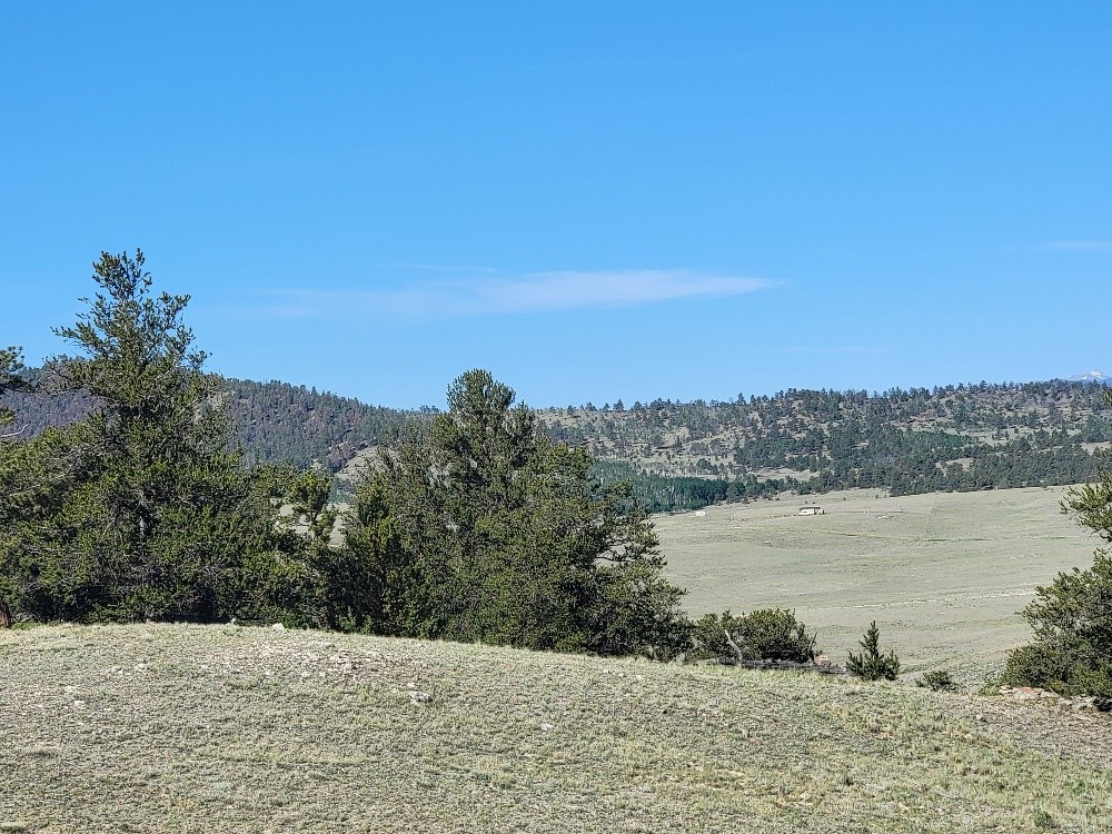 1071 Yellowstone Road Property Photo 31