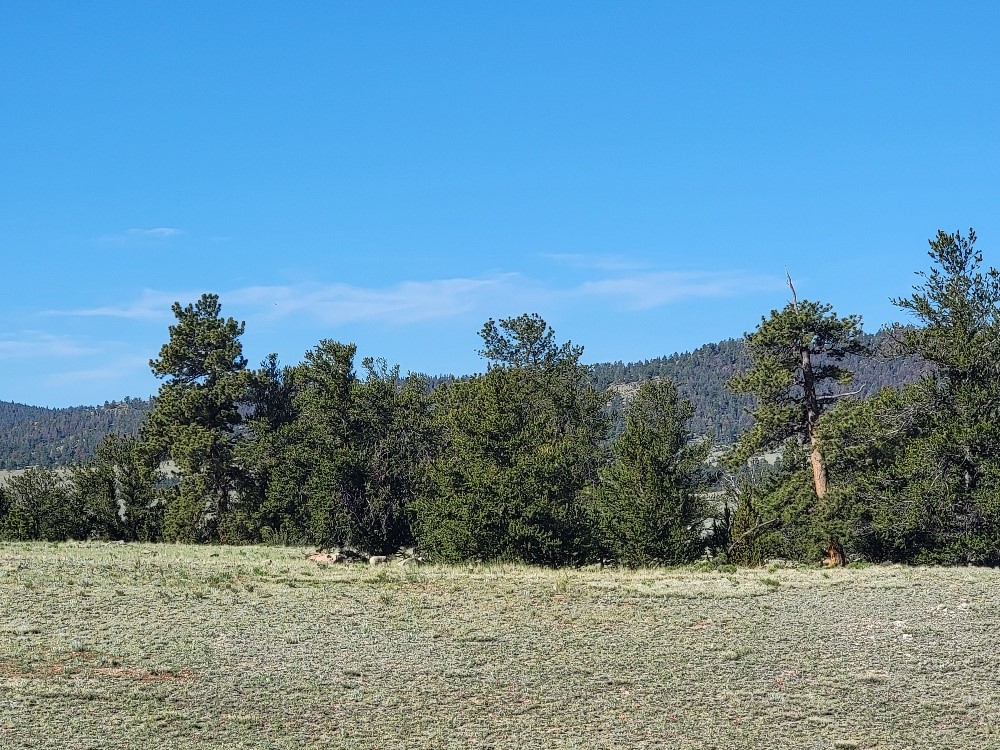 1071 Yellowstone Road Property Photo 32