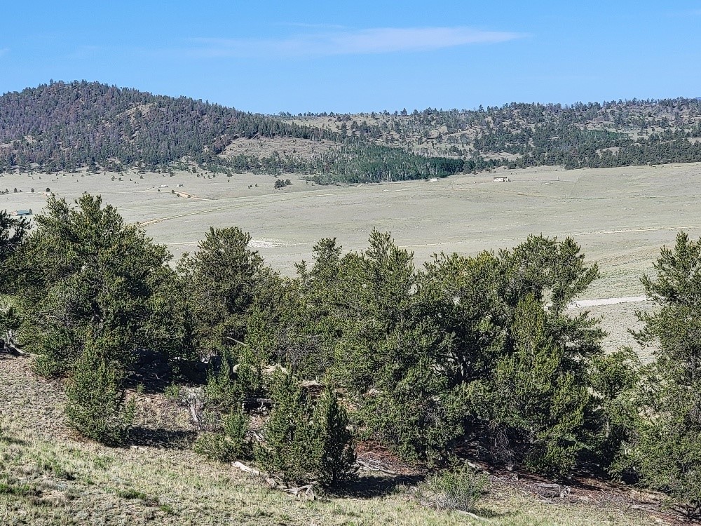 1071 Yellowstone Road Property Photo 34