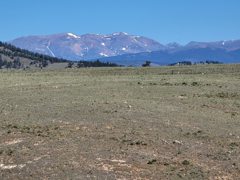 1071 Yellowstone Road Property Photo 38