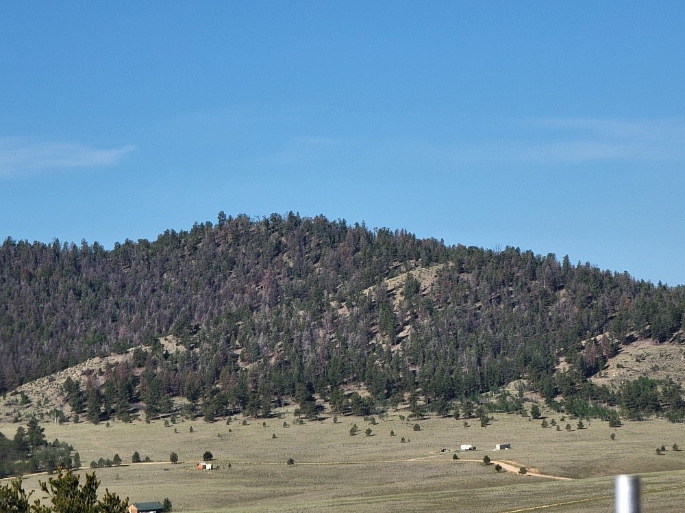 1071 Yellowstone Road Property Photo 42