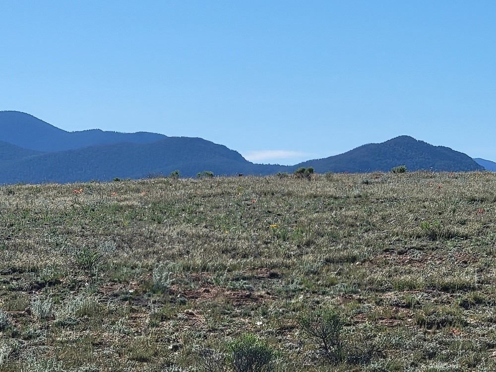 1071 Yellowstone Road Property Photo 43