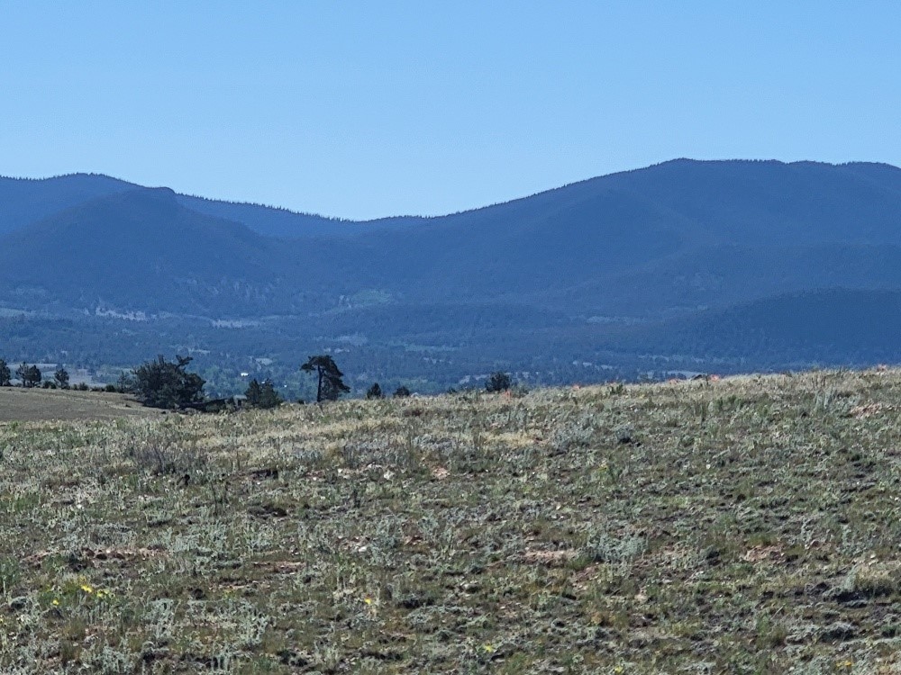1071 Yellowstone Road Property Photo 44