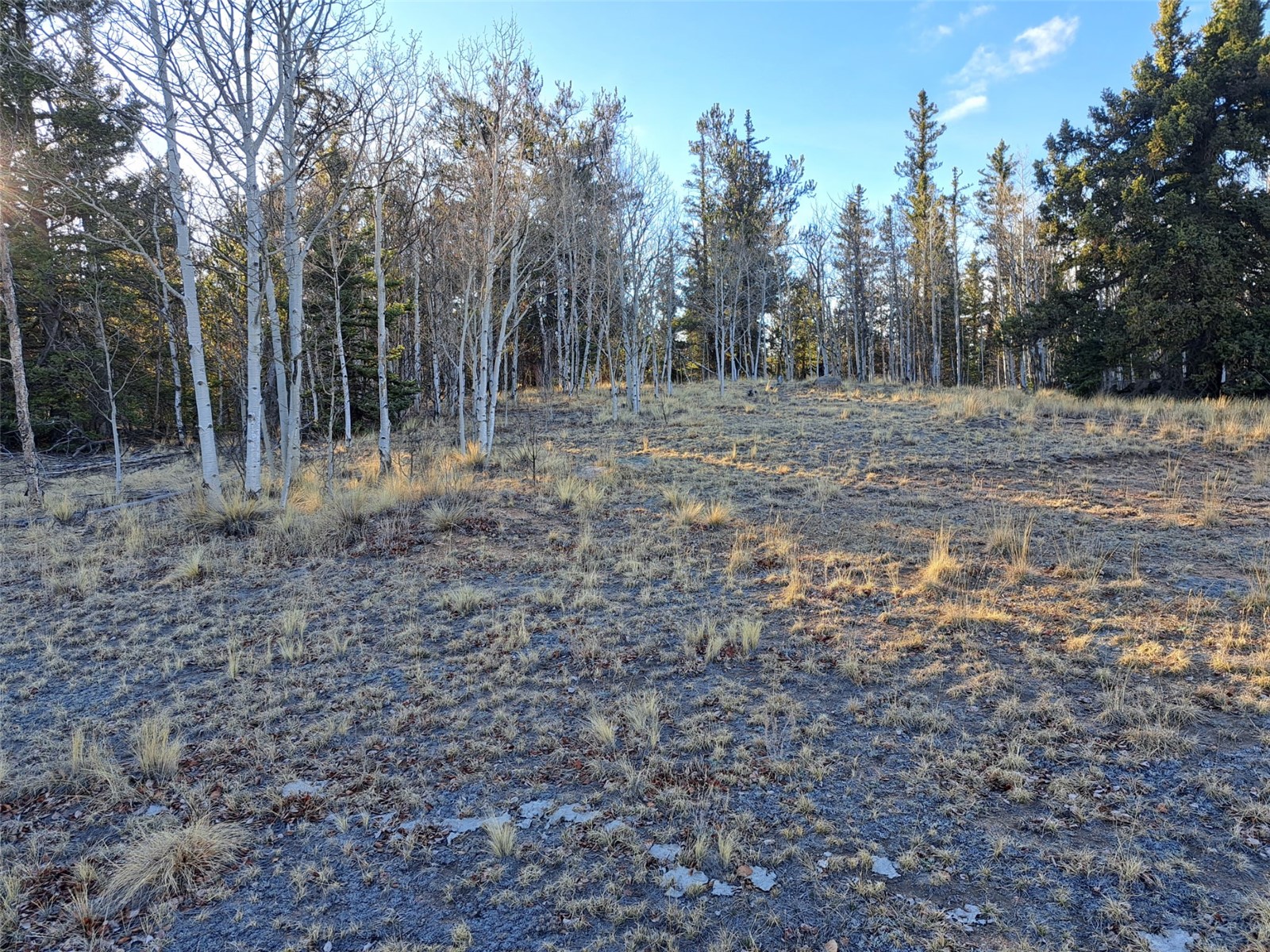 1645 Chippewa Road Property Photo
