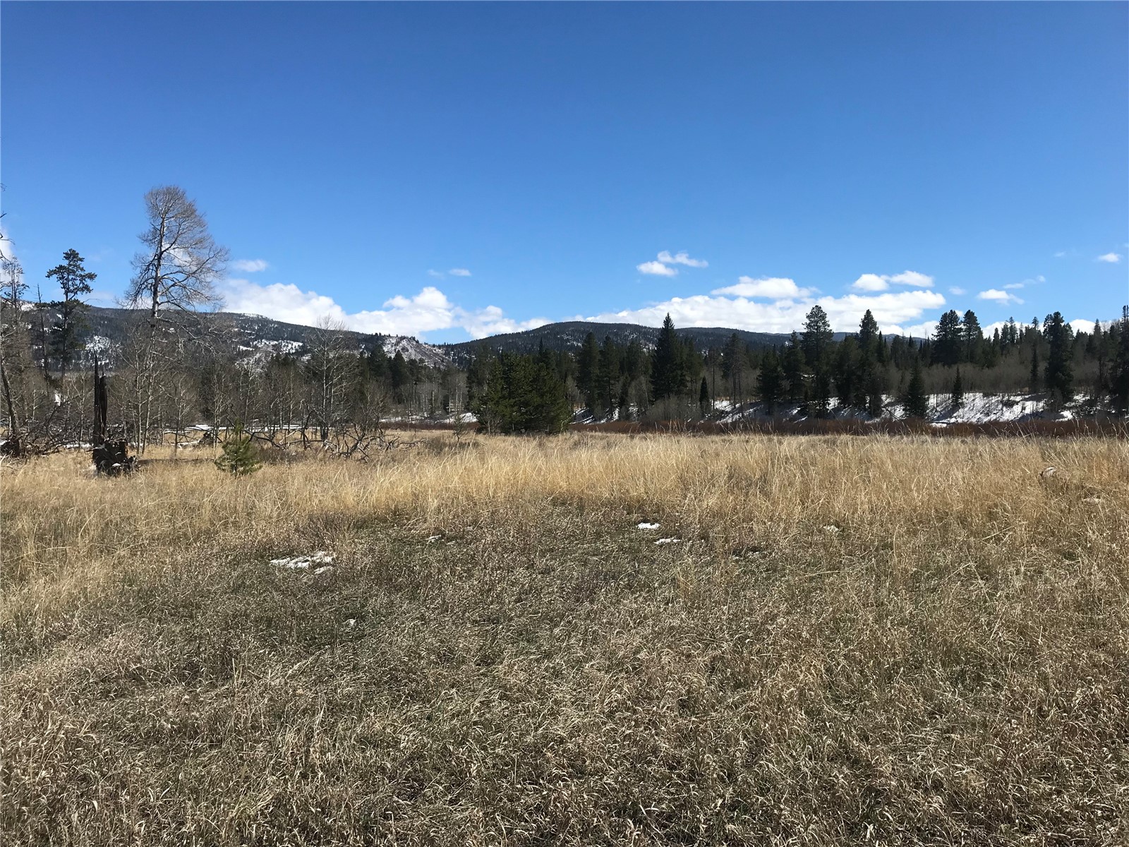 21070 Stallion Way Property Photo 3