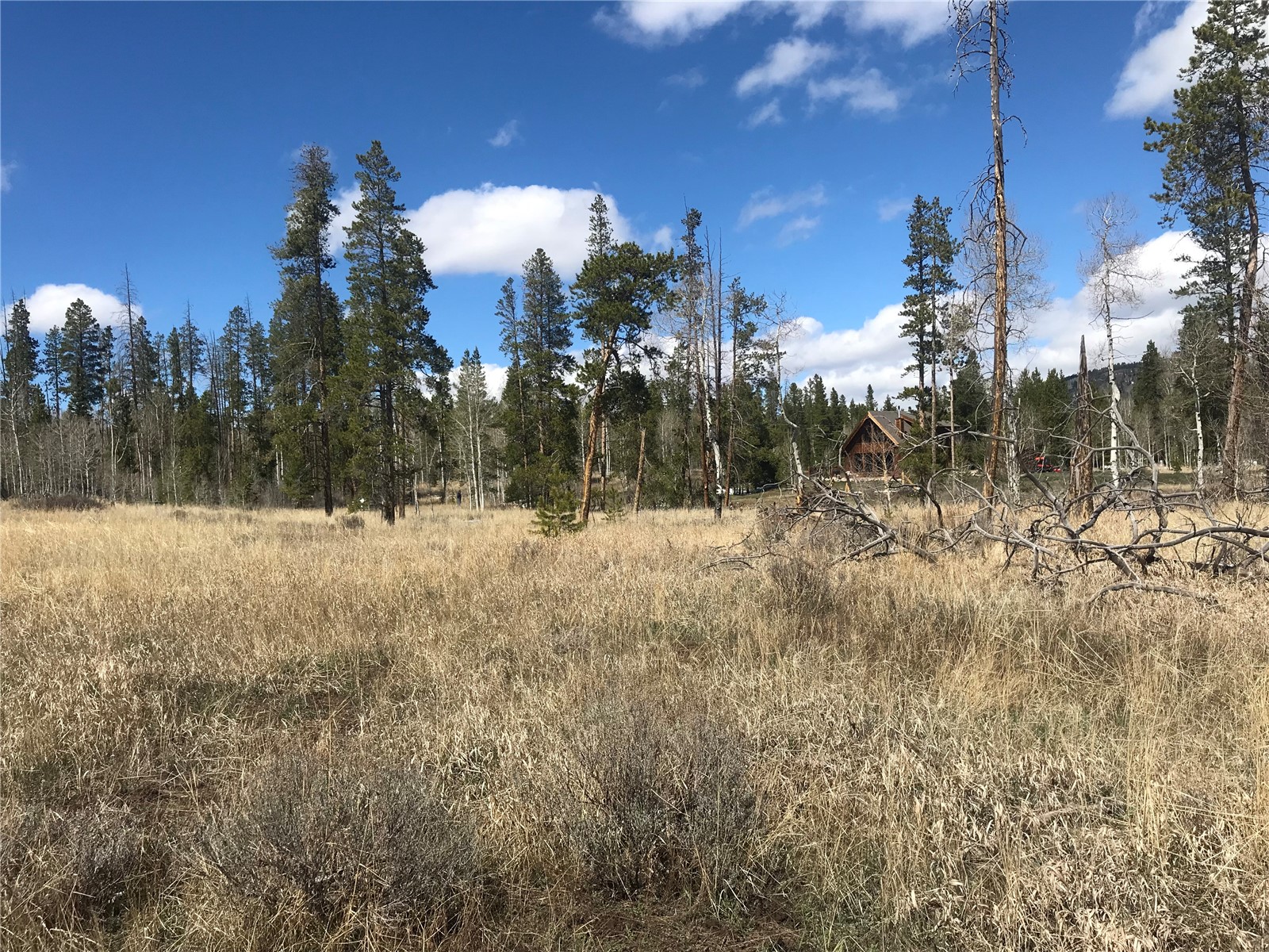 21070 Stallion Way Property Photo 4