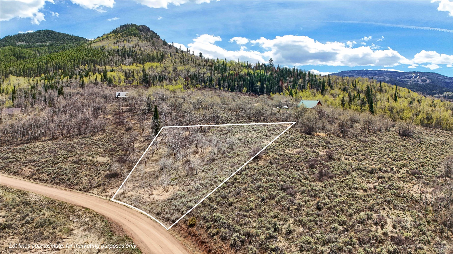 31530 Navajo Trail Property Photo 2