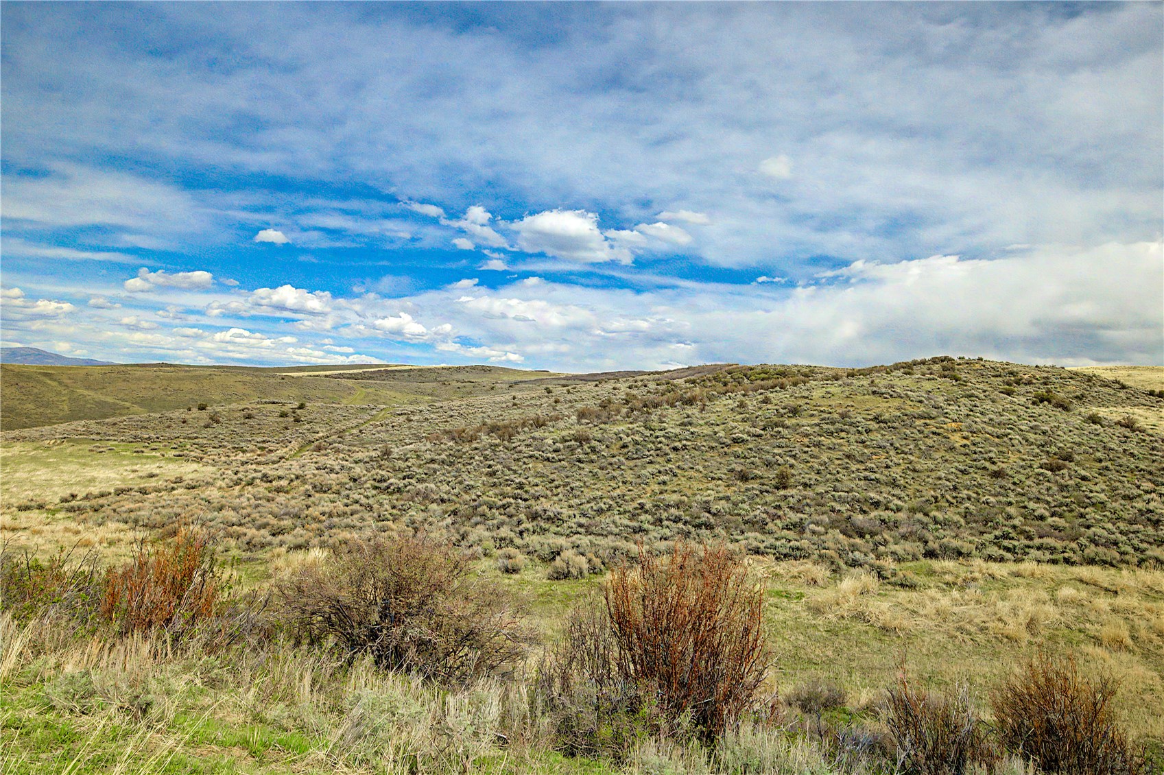 Tbd County Road 57 Property Photo 5