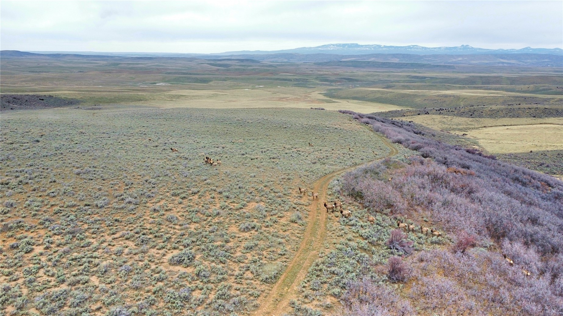 Tbd County Road 57 Property Photo 6