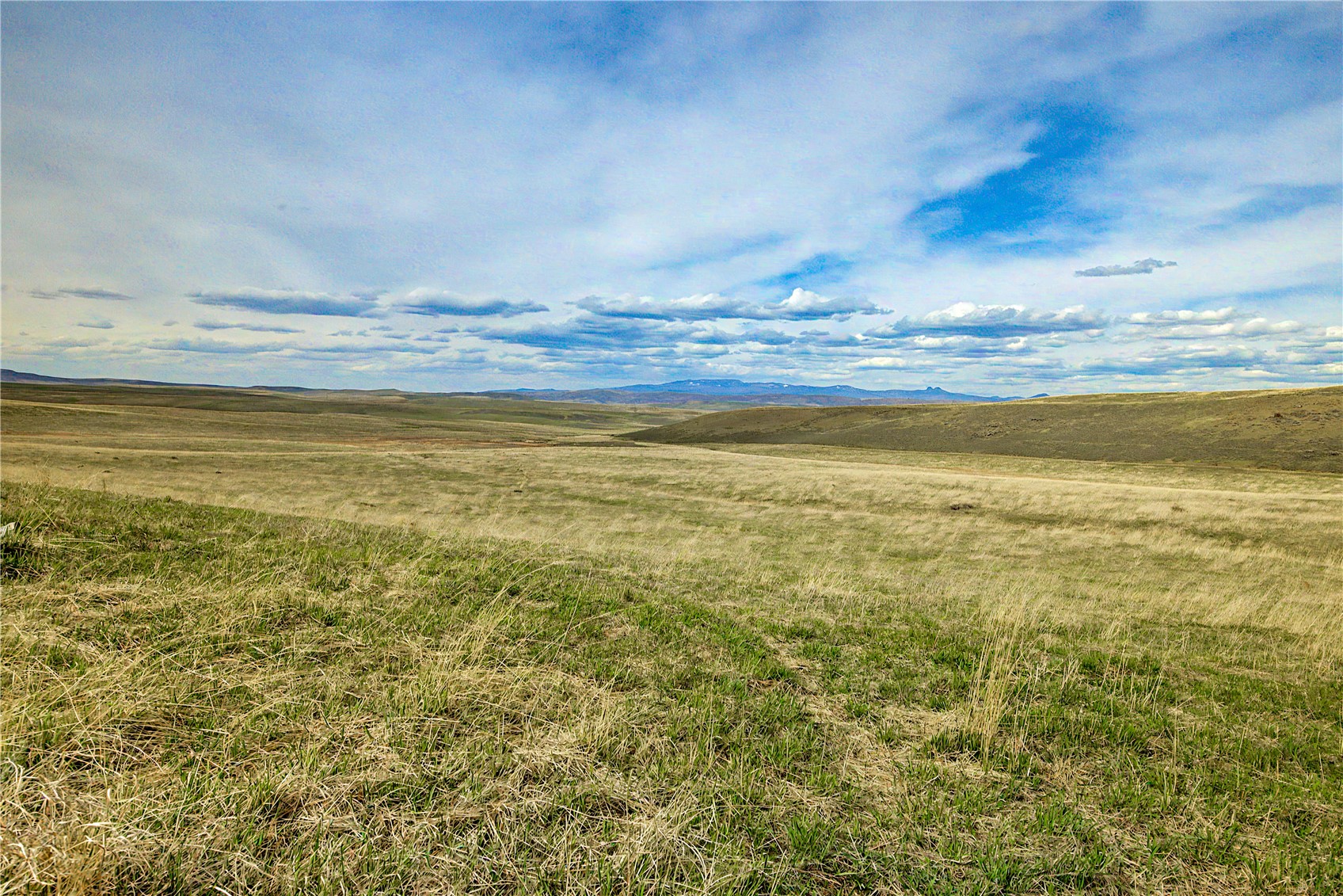 Tbd County Road 57 Property Photo 12