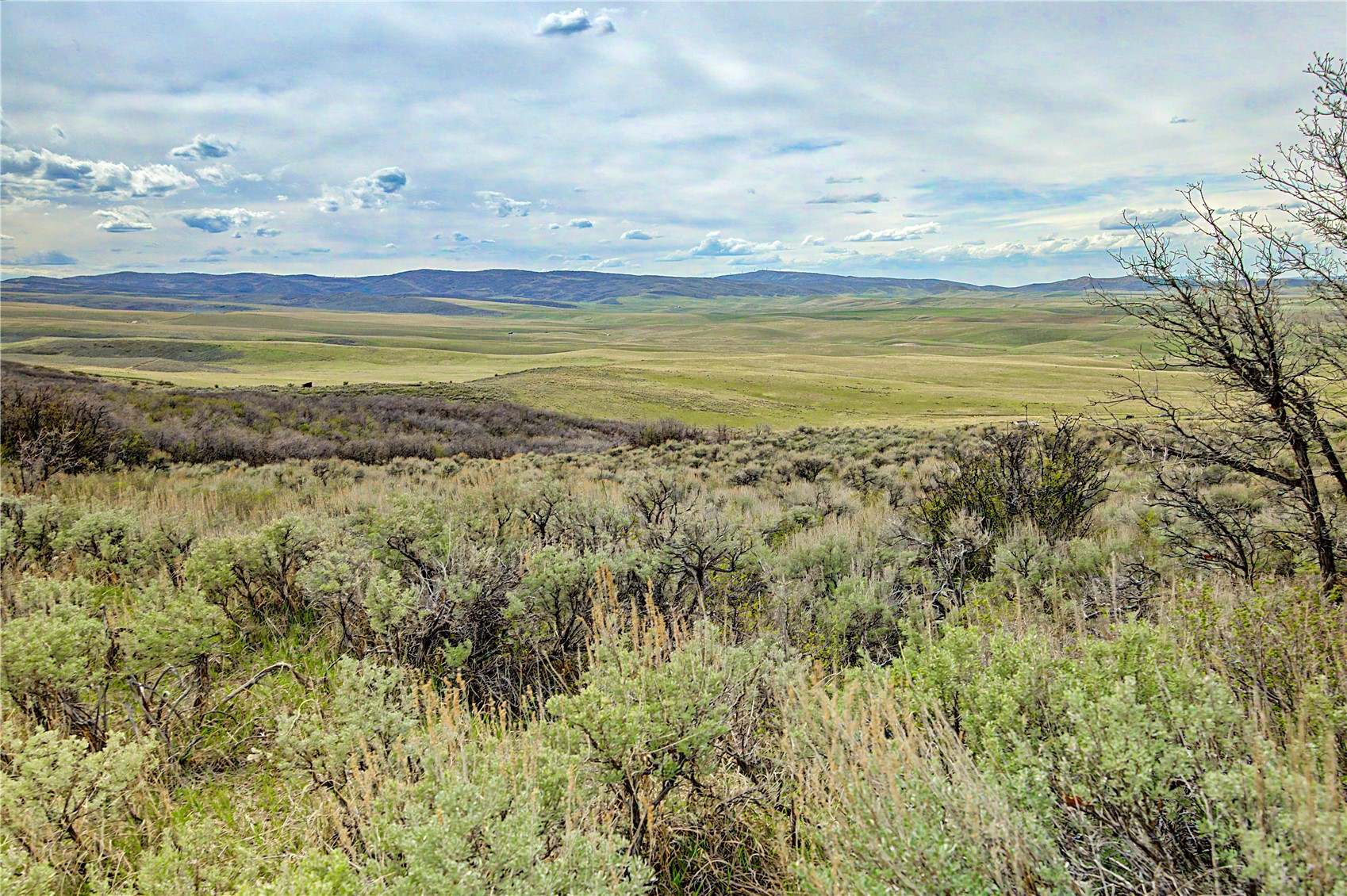 Tbd County Road 57 Property Photo 14
