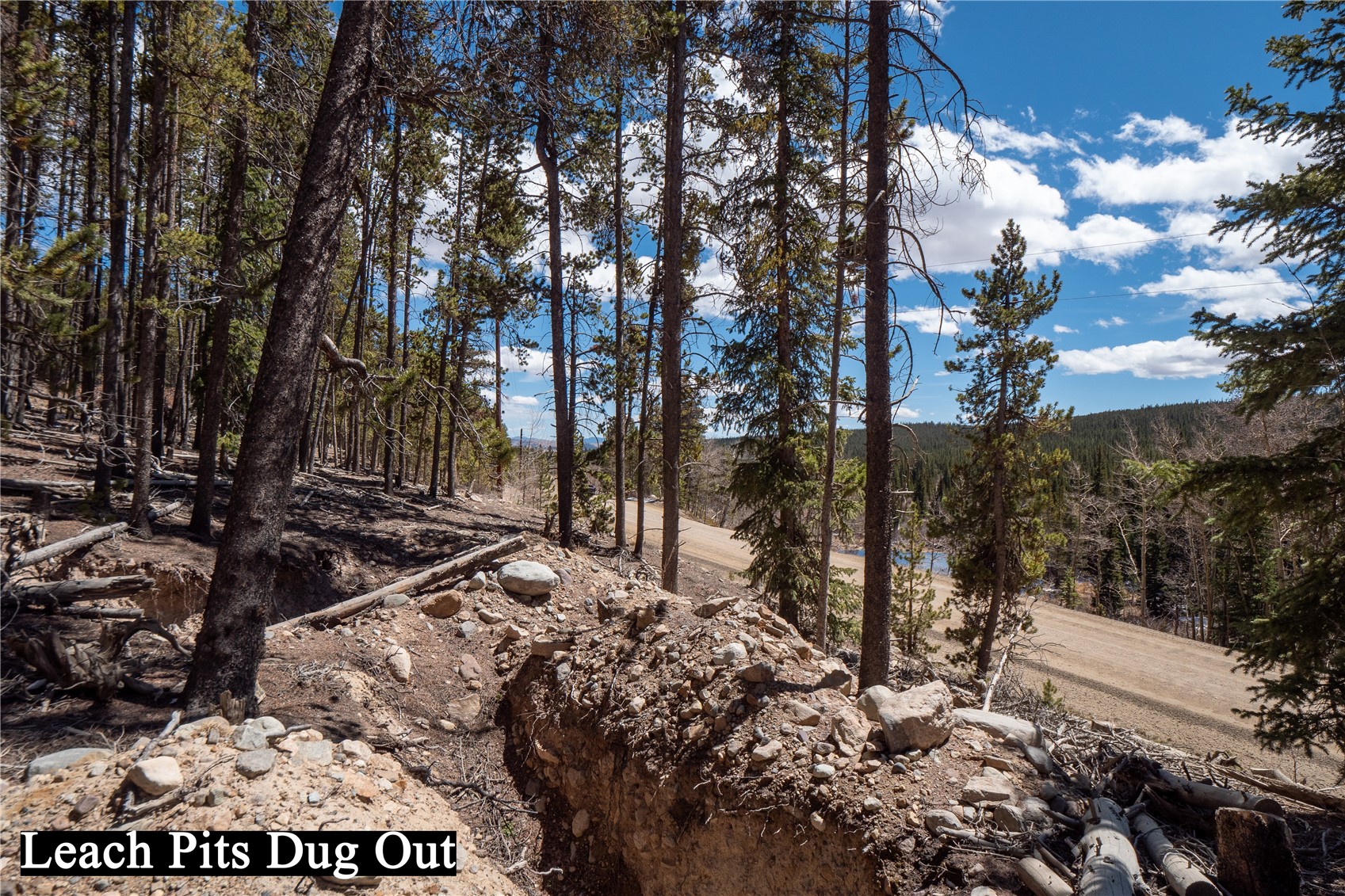3149 Nugget Road Property Photo 12
