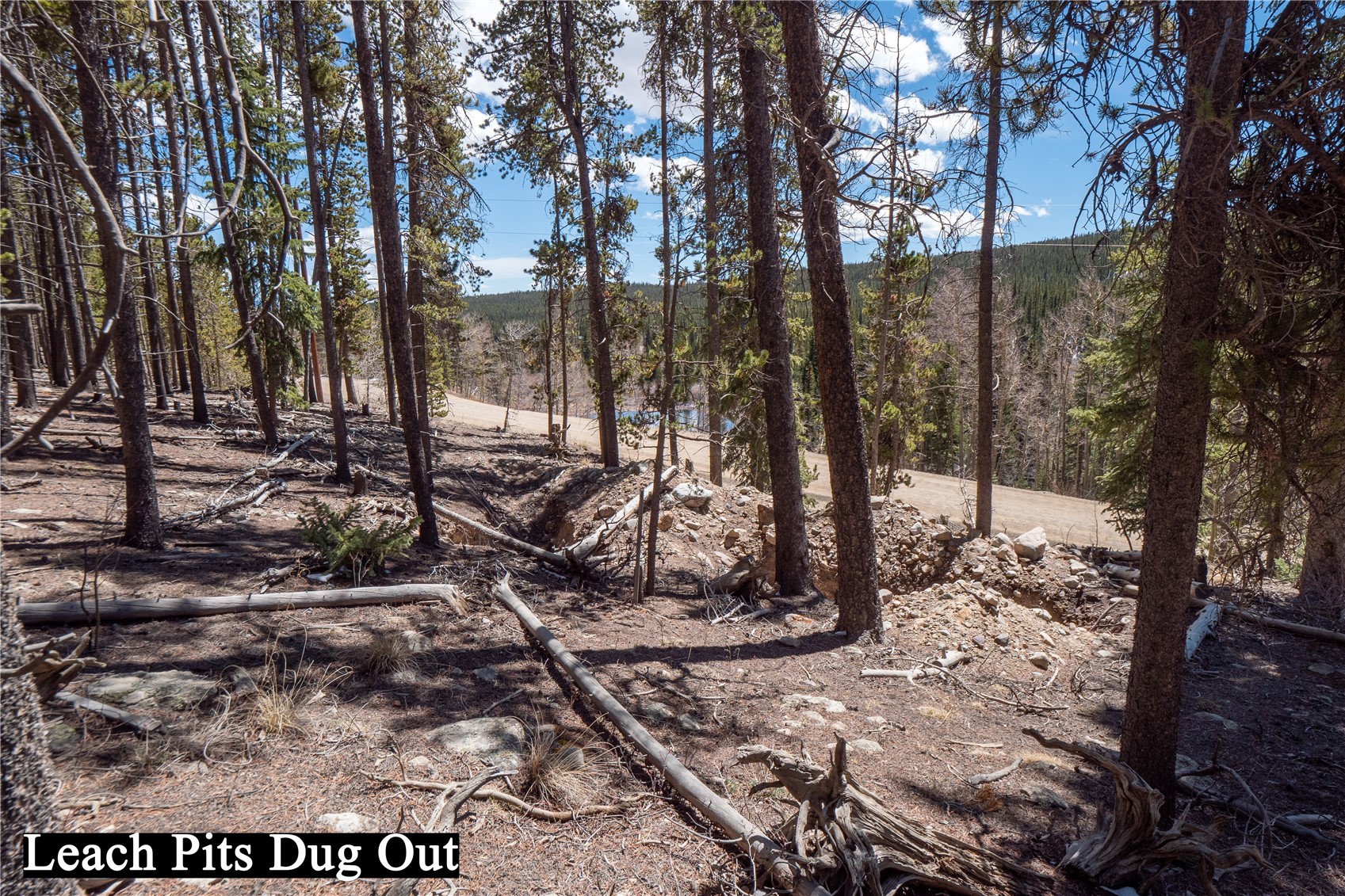3149 Nugget Road Property Photo 13
