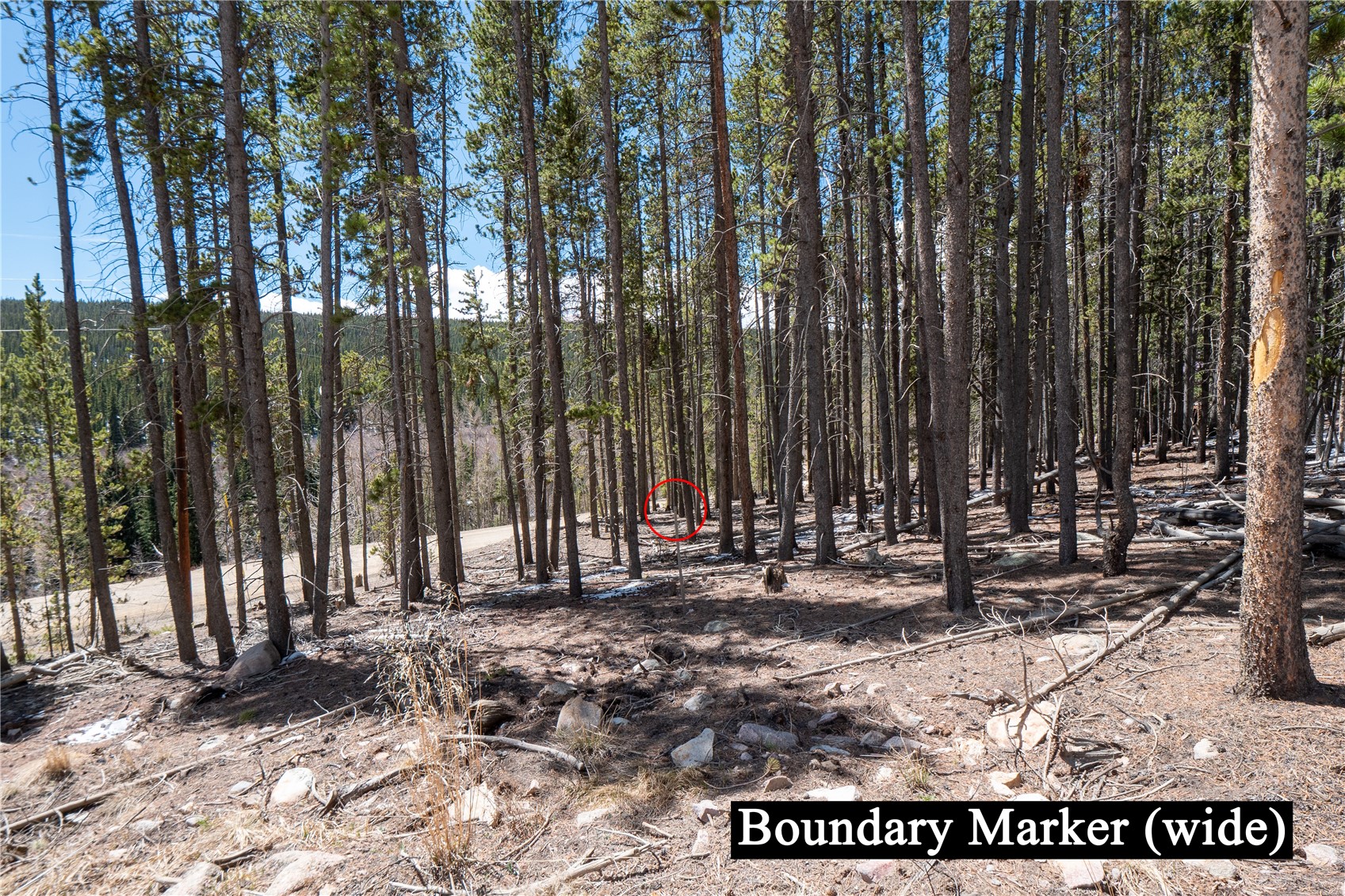 3149 Nugget Road Property Photo 15