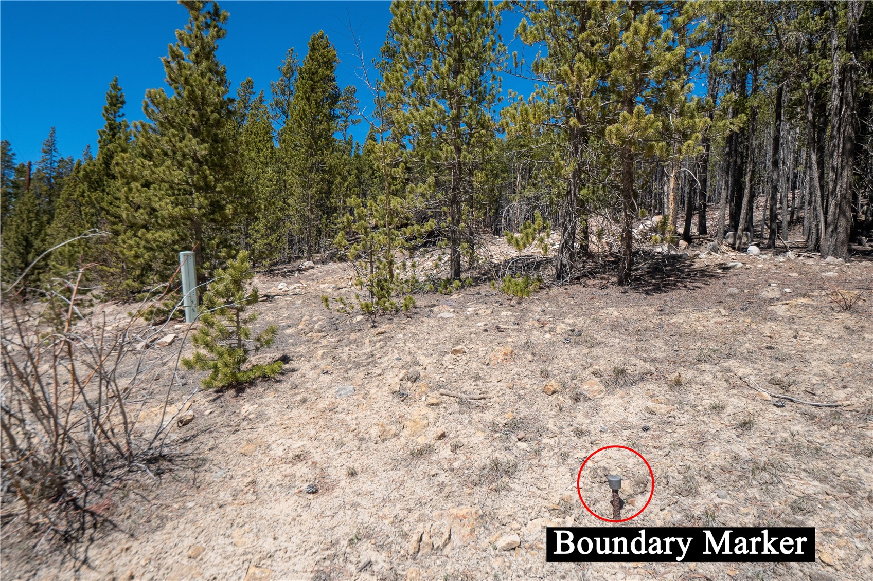 3149 Nugget Road Property Photo 17