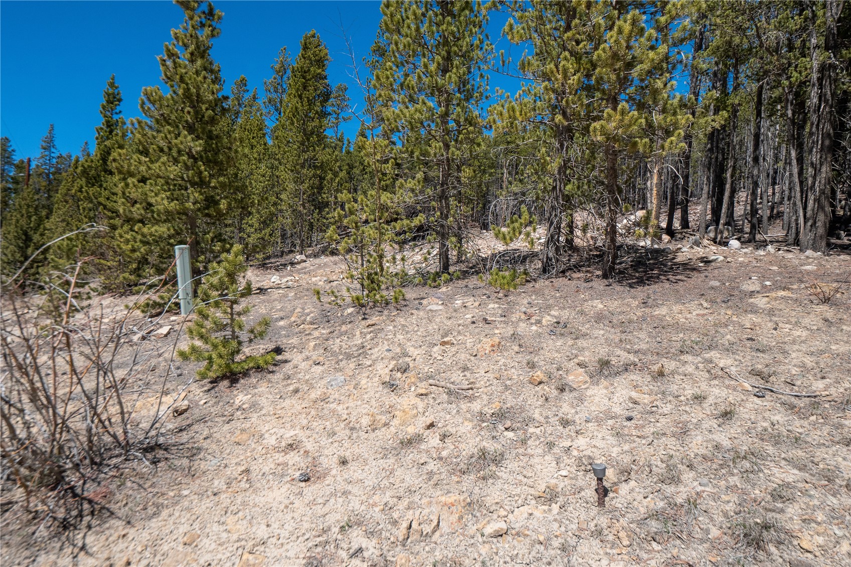 3149 Nugget Road Property Photo 18