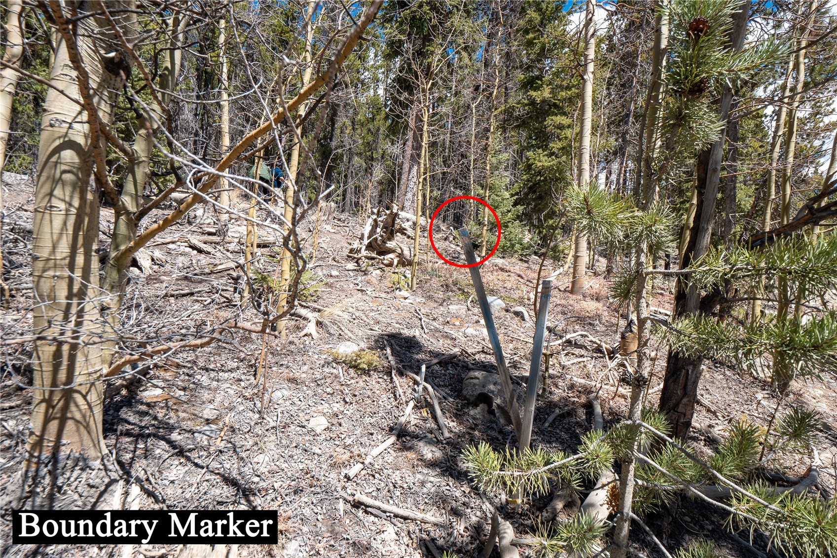 3149 Nugget Road Property Photo 19