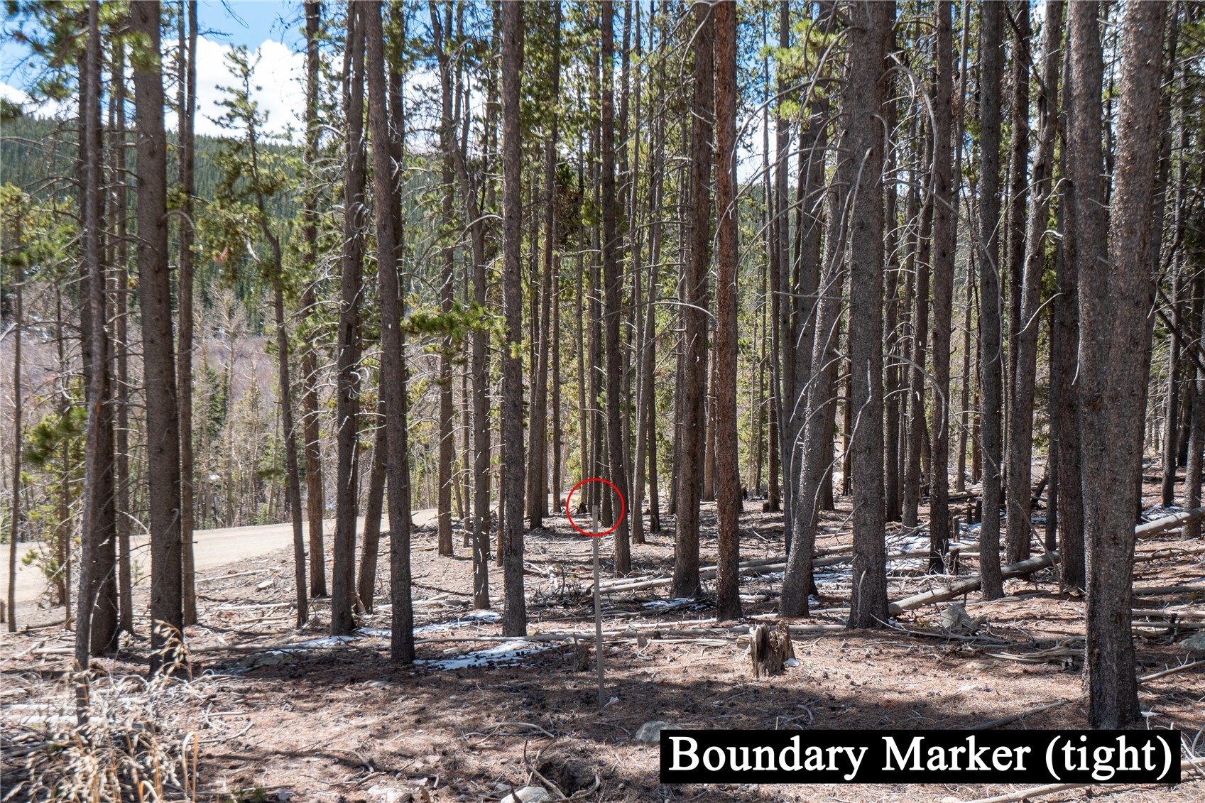 3149 Nugget Road Property Photo 20
